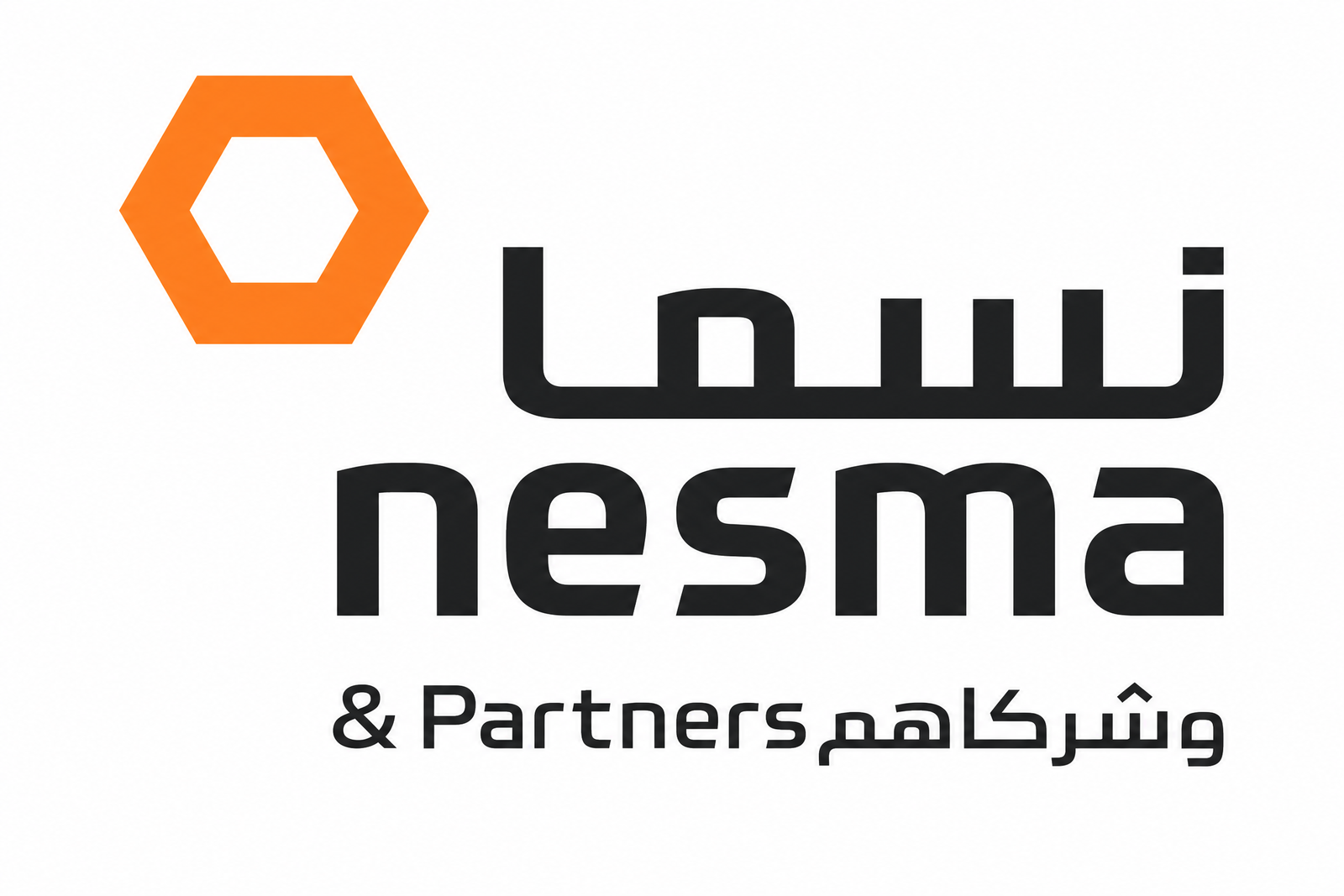 Success partner logo 1