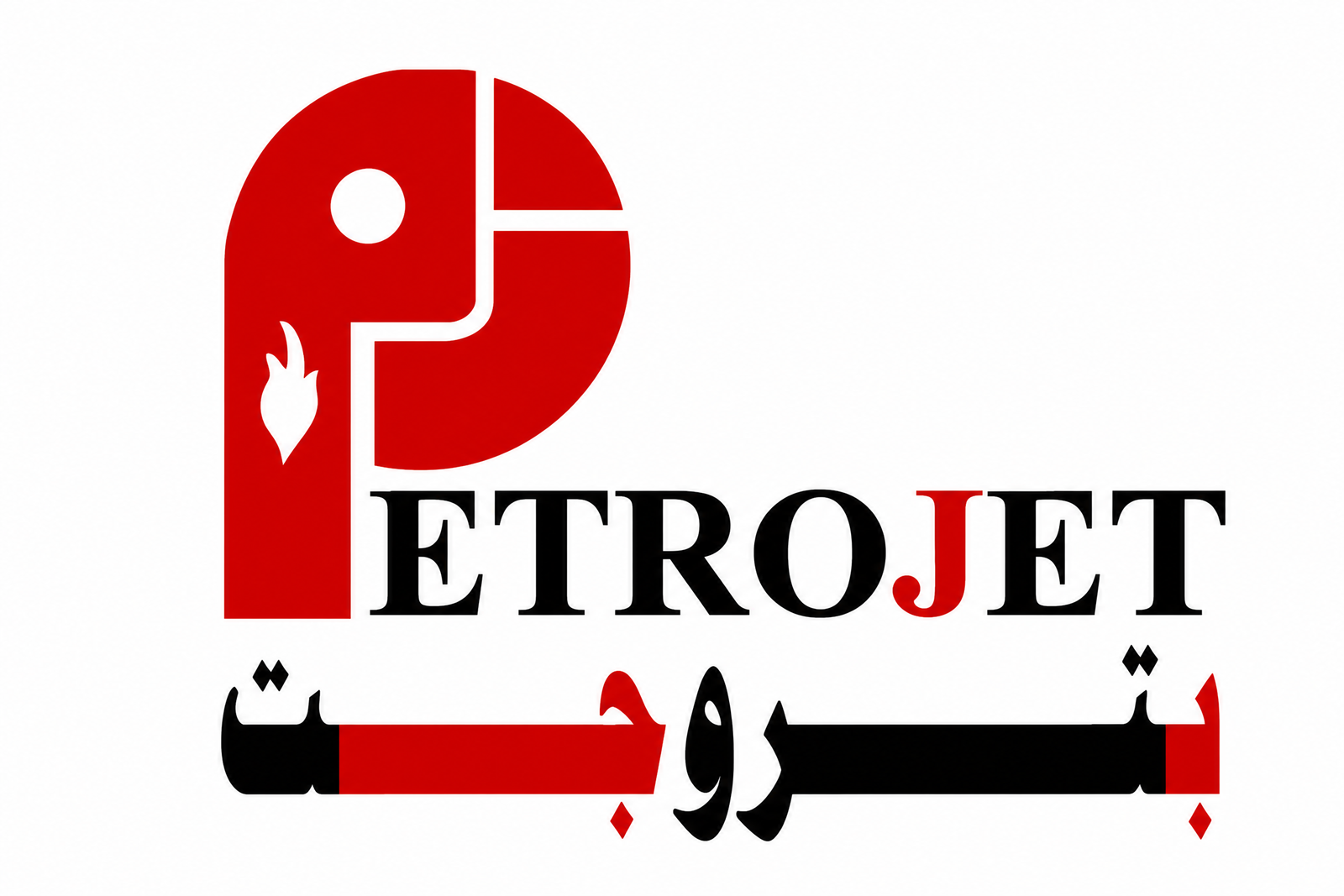 Success partner logo 3