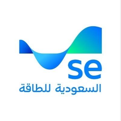 Success partner logo 8