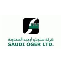 Success partner logo 10