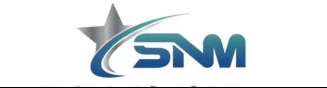 Success partner logo 13